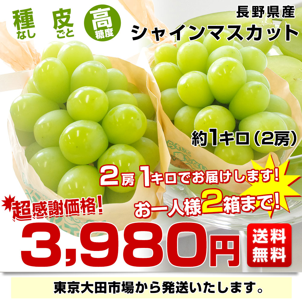 SALE／60%OFF】 長野県産 シャインマスカット 約1キロ（2房）送料無料 ぶどう ブドウ 種なしぶどう クール便発送 ぶどう 
