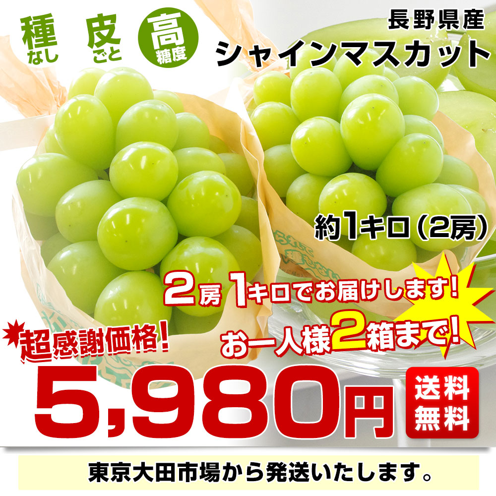 SALE／60%OFF】 長野県産 シャインマスカット 約1キロ（2房）送料無料 ぶどう ブドウ 種なしぶどう クール便発送 ぶどう 