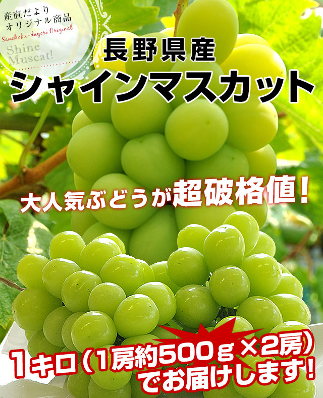 長野県産 シャインマスカット 約1キロ（2房）送料無料 ぶどう ブドウ 種なしぶどう クール便発送 :1238882818:産直だより 通販  