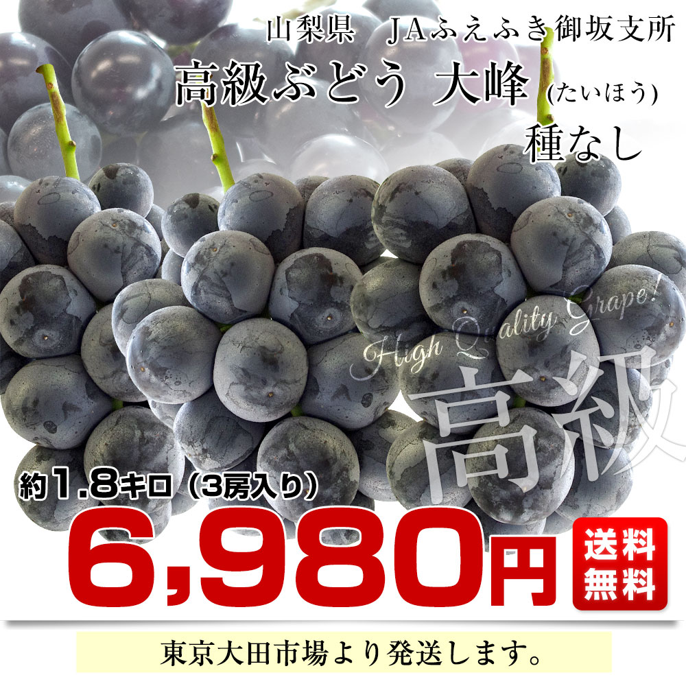 今が旬！天然朝採れ ふきのとう（約50~70g）：福島県産の