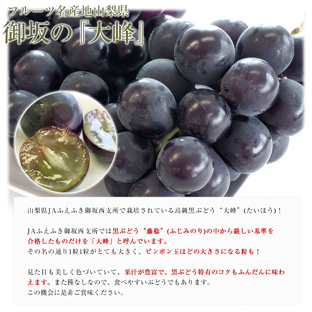 山梨県産 JAふえふき御坂支所 大峰(たいほう)約1.8キロ(3房 山梨県産 JAふえふき御坂支所 大峰(たいほう)約1.8キロ(3房