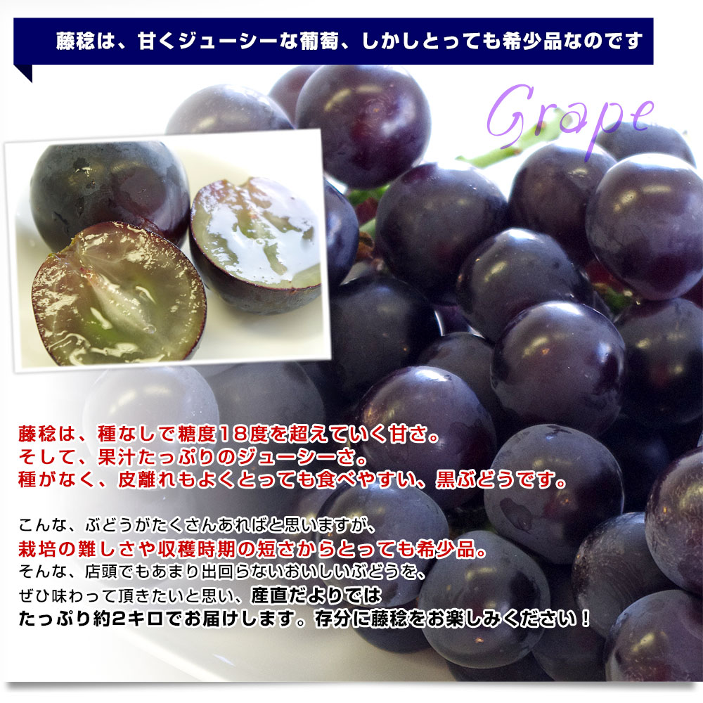 山梨県 Jaふえふき 八代支所 藤稔 ふじみのり 約2キロ 3房から4房 送料無料 ぶどう ブドウ 葡萄 市場発送 クール便 産直だより 通販 Yahoo ショッピング 山梨県 Jaふえふき 八代支所 藤稔 ふじみのり 約2キロ 3房から4房 送料無料 ぶどう ブドウ 葡萄 市場発送 クール便 産直だより 通販 Yahoo ショッピング