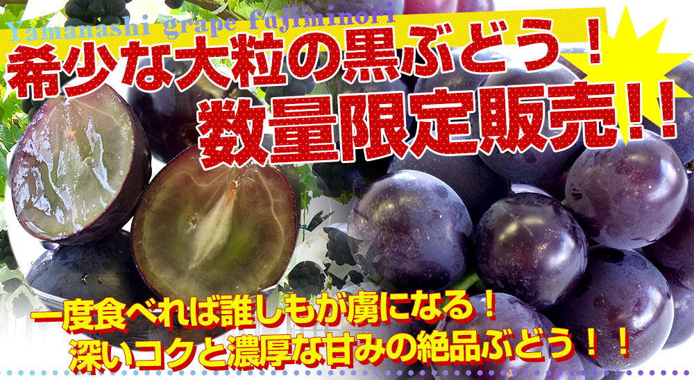 山梨県産 JAふえふき 八代支所 藤稔(ふじみのり)約2キロ（3房から4房