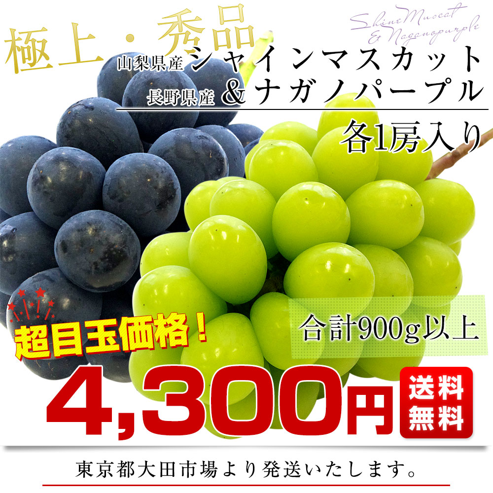 山梨県産 シャインマスカット＆長野県 ナガノパープル 各1房 合計900g以上 送料無料 ぶどう 葡萄 ぶどうセット｜sanchokudayori｜03