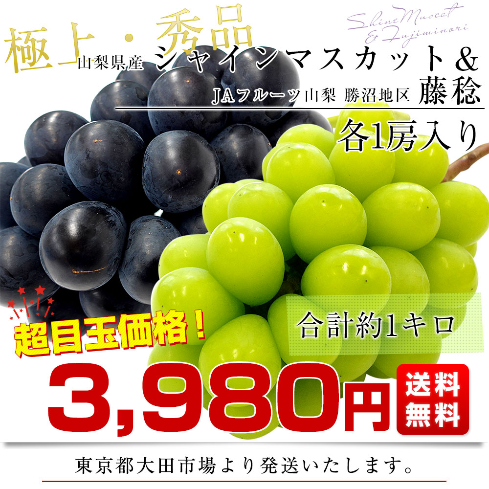 山梨県産 シャインマスカット＆藤稔 合計約1キロ(各1房入り) 送料無料 ぶどう ブドウ 葡萄 ぶどうセット