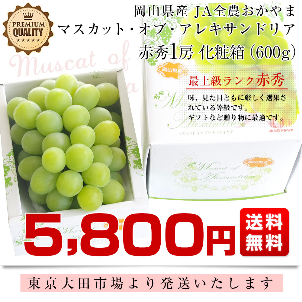最高級葡萄！！岡山県産【マスカット ジパング】赤秀品　6〜7房　5kg！！ 最高級葡萄！！岡山県産【マスカット ジパング】赤秀品 6〜7房