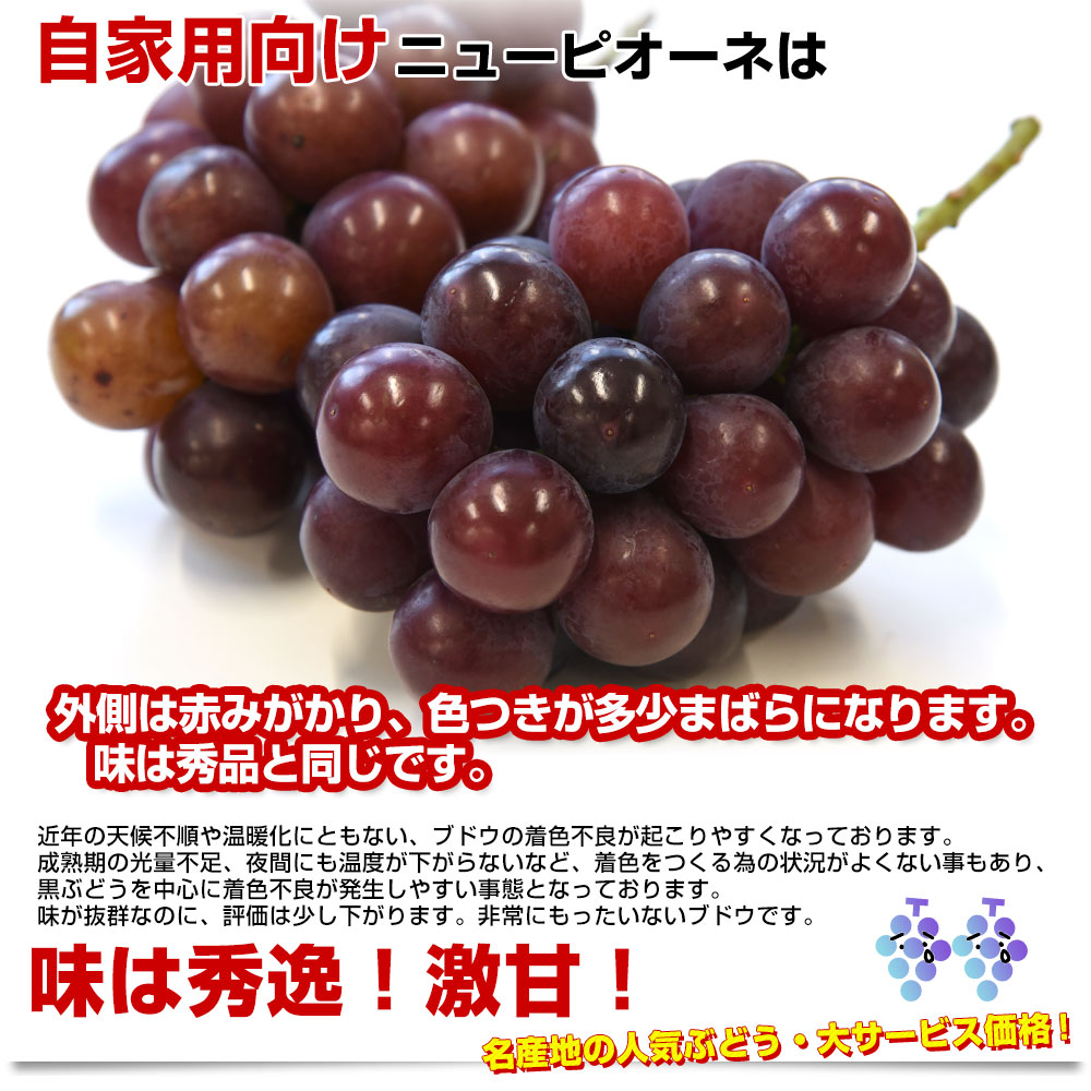 ピオーネ 商品一覧 - 産直だより - 売れ筋通販 - Yahoo!ショッピング