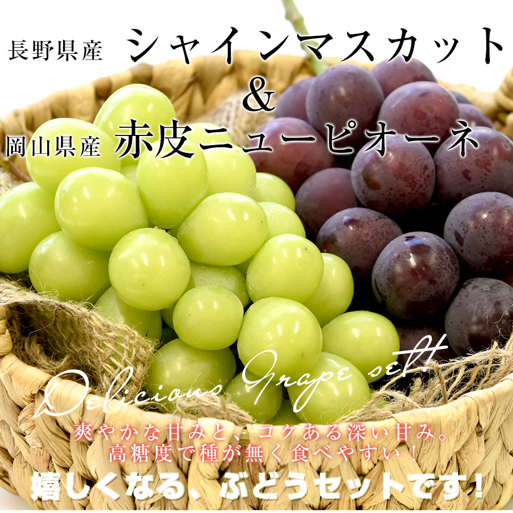 しげ　山梨県産シャインマスカット約四キロとピオーネ約二キロ　送料込み 楽天市場】【ふるさと納税】【2025年発送】 ぶどう 山梨