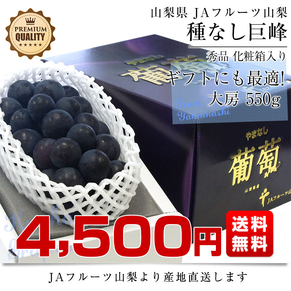 山梨県より産地直送 JAフルーツ山梨 種なし巨峰 秀品 大房1房入り化粧