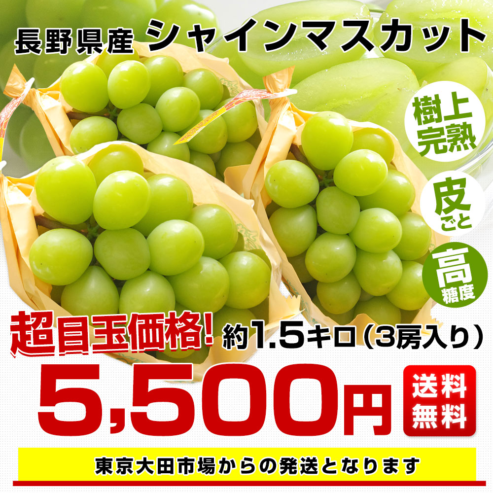 長野県産 シャインマスカット 約1,5キロ（3房）送料無料 ぶどう
