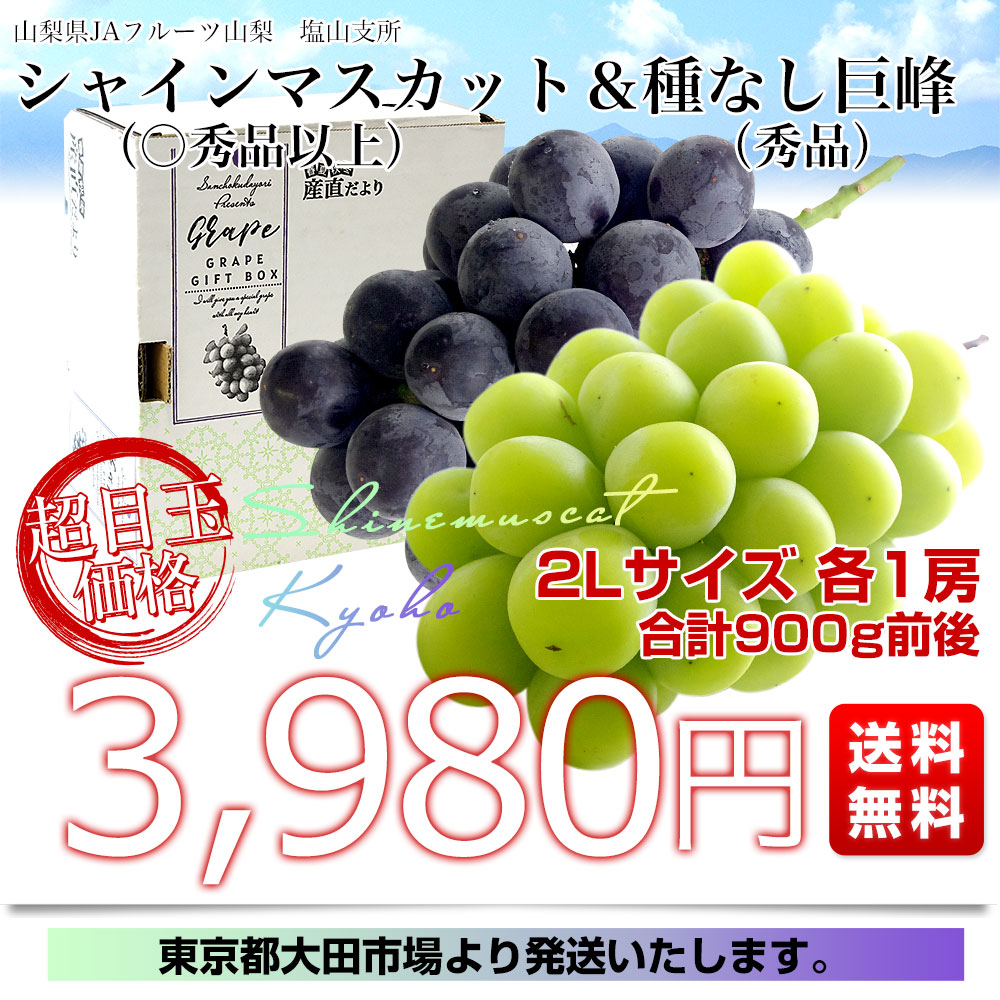 山梨県産 JAフルーツ山梨 塩山支所 シャインマスカット（○秀品以上