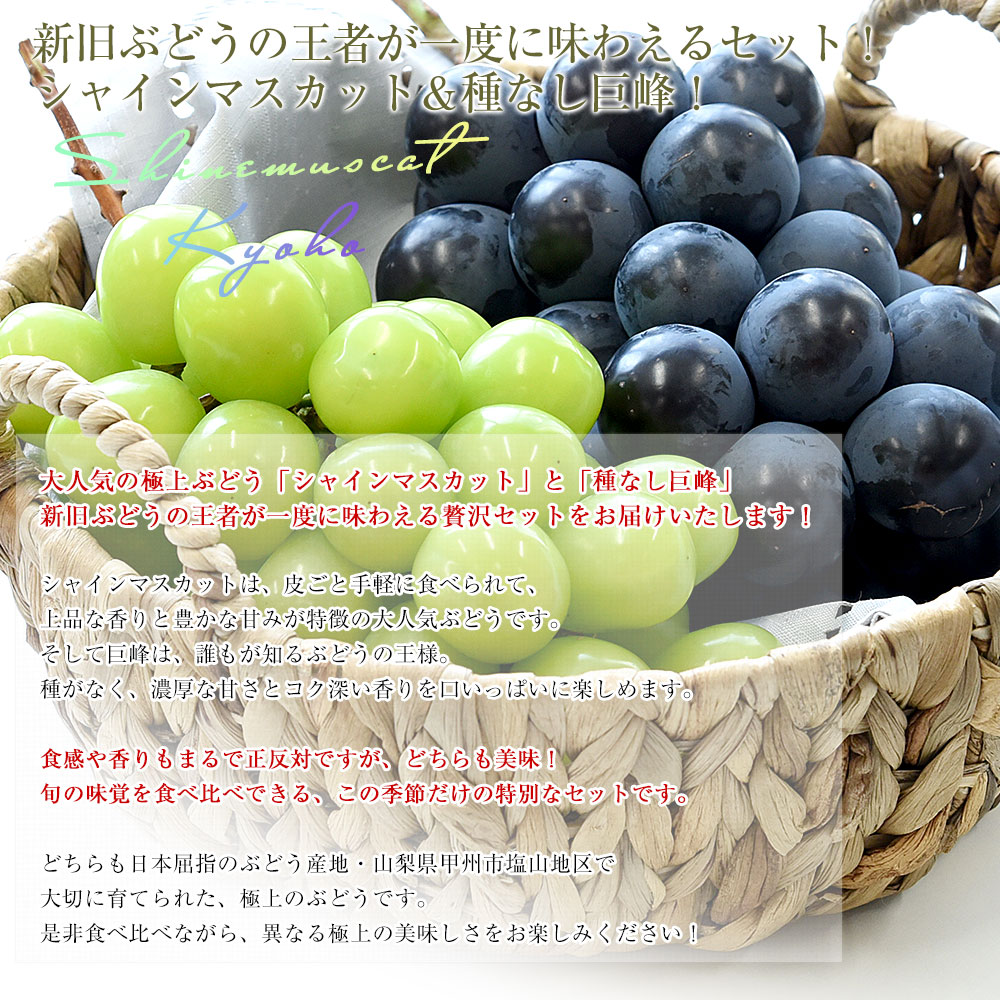 山梨県産 JAフルーツ山梨 塩山支所 シャインマスカット＆種なし巨峰 2L