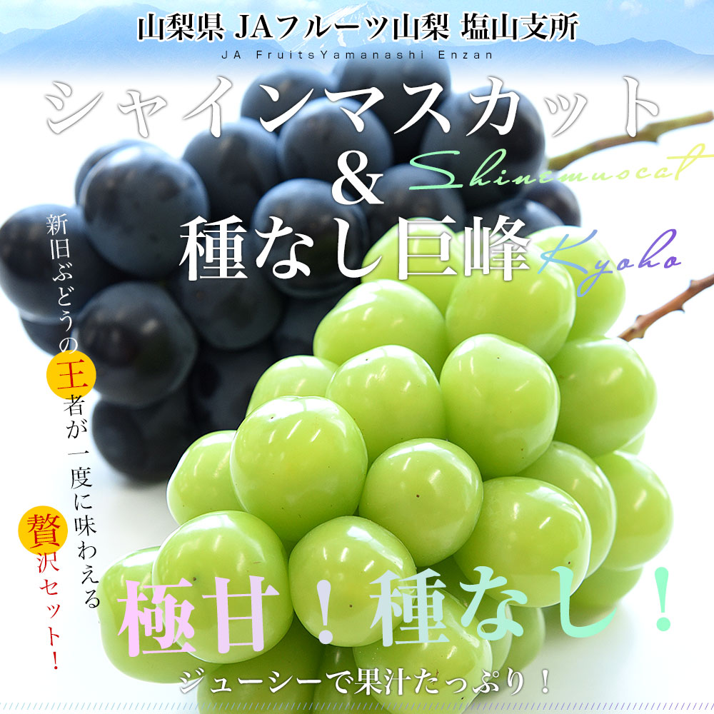 受付専用　山梨県産シャインマスカット　2kg (北海道、沖縄+ 500円) 2025年発送＞シャインマスカット 2房 (約1kg) 山梨県産フルーツ