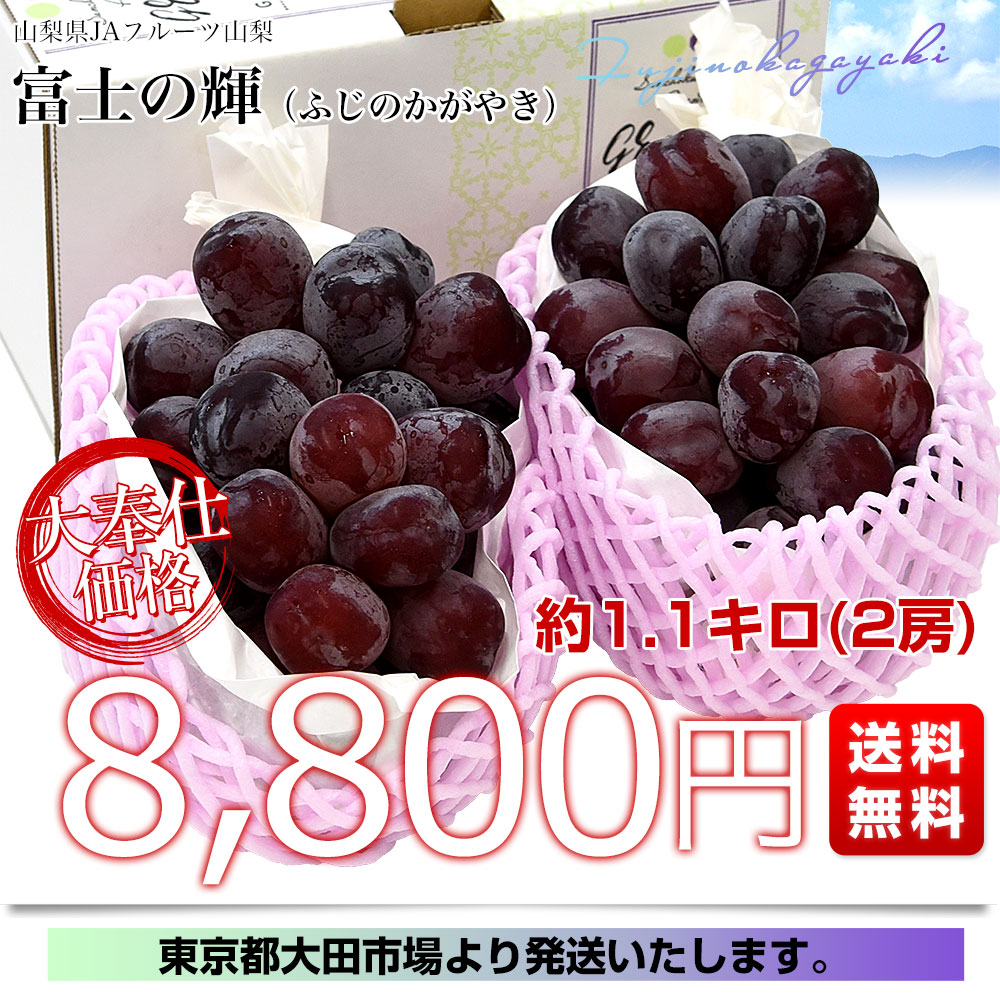 山梨県産 JAフルーツ山梨 富士の輝 約1.1...の詳細画像2