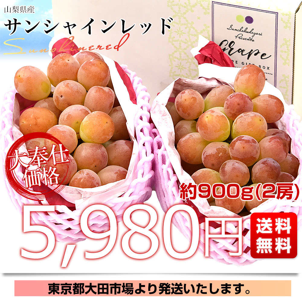 山梨県産 サンシャインレッド 約900g（2房） 送料無料 種無しぶどう