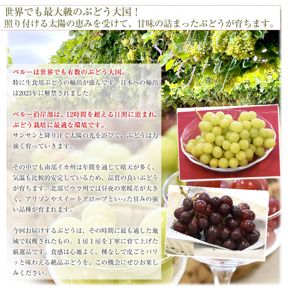 912.特売皮ごと食べられる新鮮紅提、紅ぶどう種あり　箱込み約8kg おすすめギフト>彩りあざやかな紅ぶどう3種セット：大阪府産のクイーン