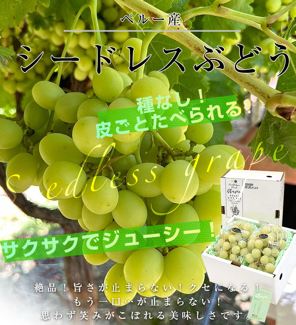 皮ごと食べられる！シードレス緑ぶどう ペルー産 約1.2キロ（約600g×2