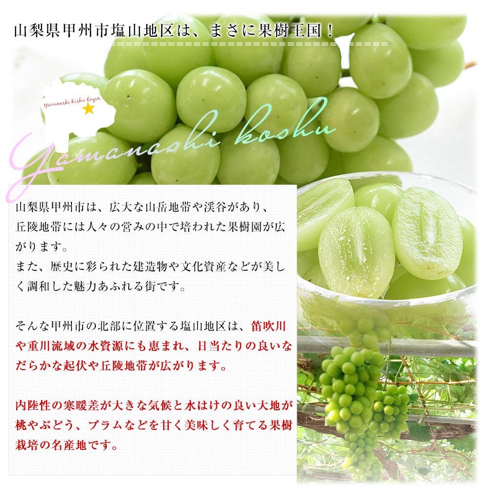 山梨県産 大房シャインマスカット ご家庭向け・赤秀品 1.1キロから1.2