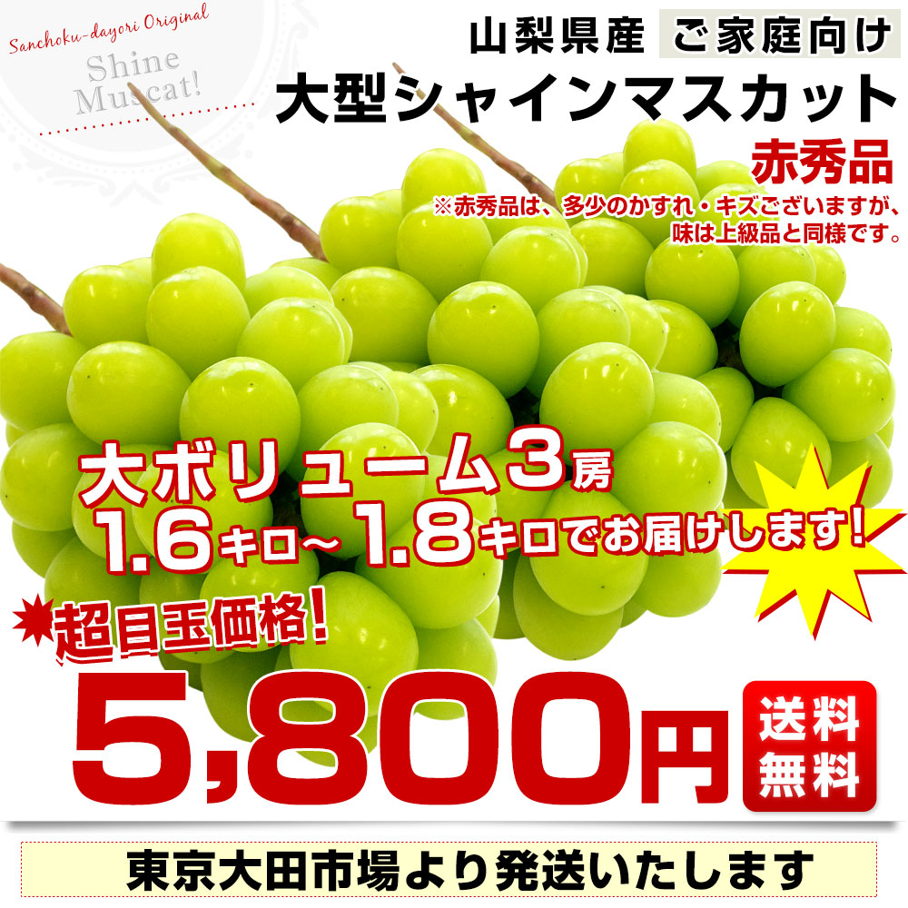 山梨県産 大房シャインマスカット ご家庭向け・...の詳細画像2