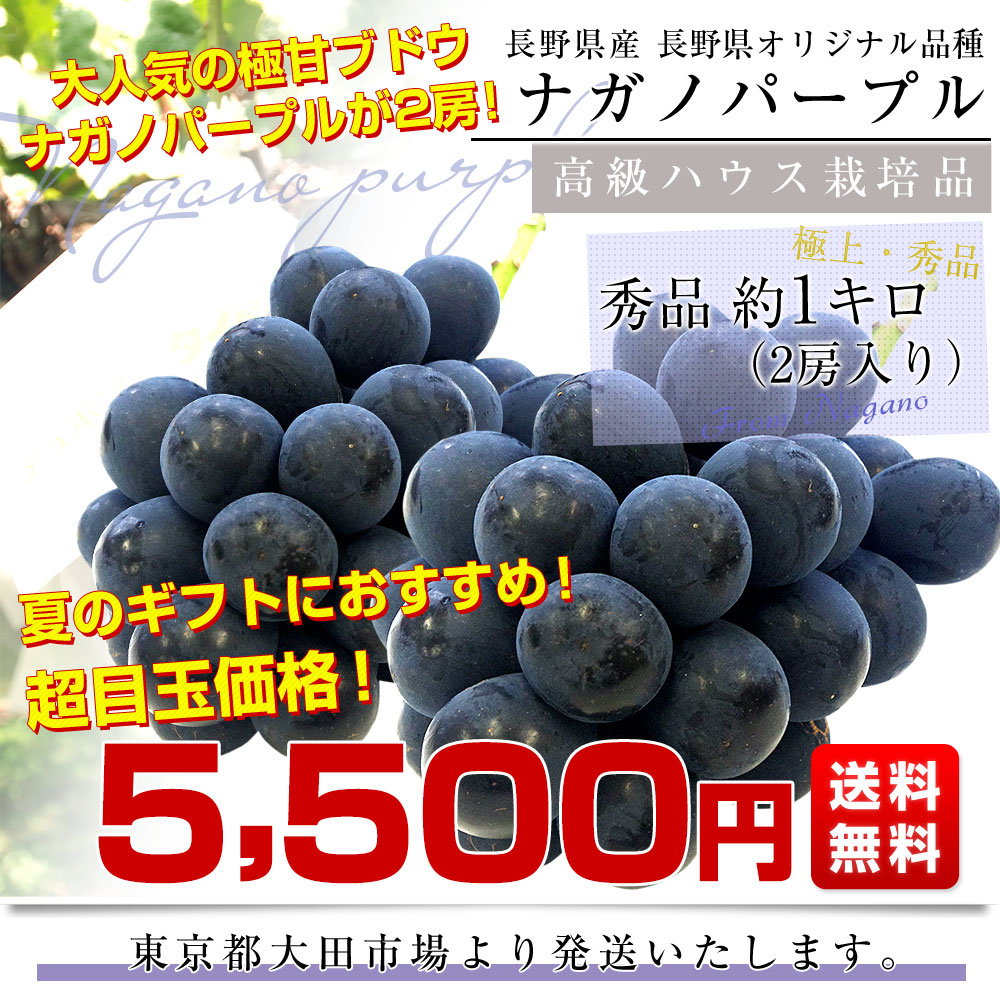 【お中元・夏ギフト】長野県 JAながの ハウス...の詳細画像2