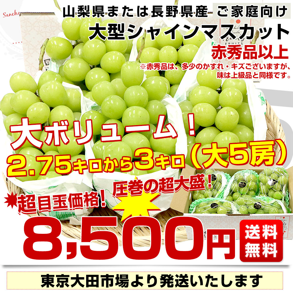 シャインマスカット３キロ(6房) 8/18(火)17時〆切 山梨県産または長野県産 大型シャインマスカット超盛2.75キロから3キロ