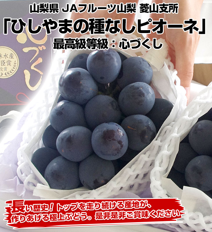 山梨県より産地直送 JAフルーツ山梨・菱山支所 ひしやまのピオーネ 最