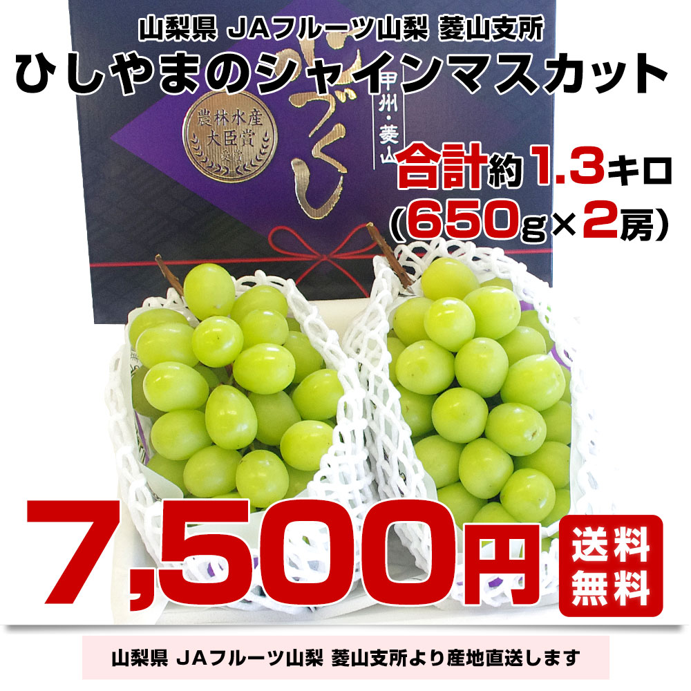 【夏季限定】No.15 2kg　シャインマスカット　摘みたて　産地直送　山梨県 シャインマスカット 山梨県産 2kg以上 3〜5房入 南アルプス市産
