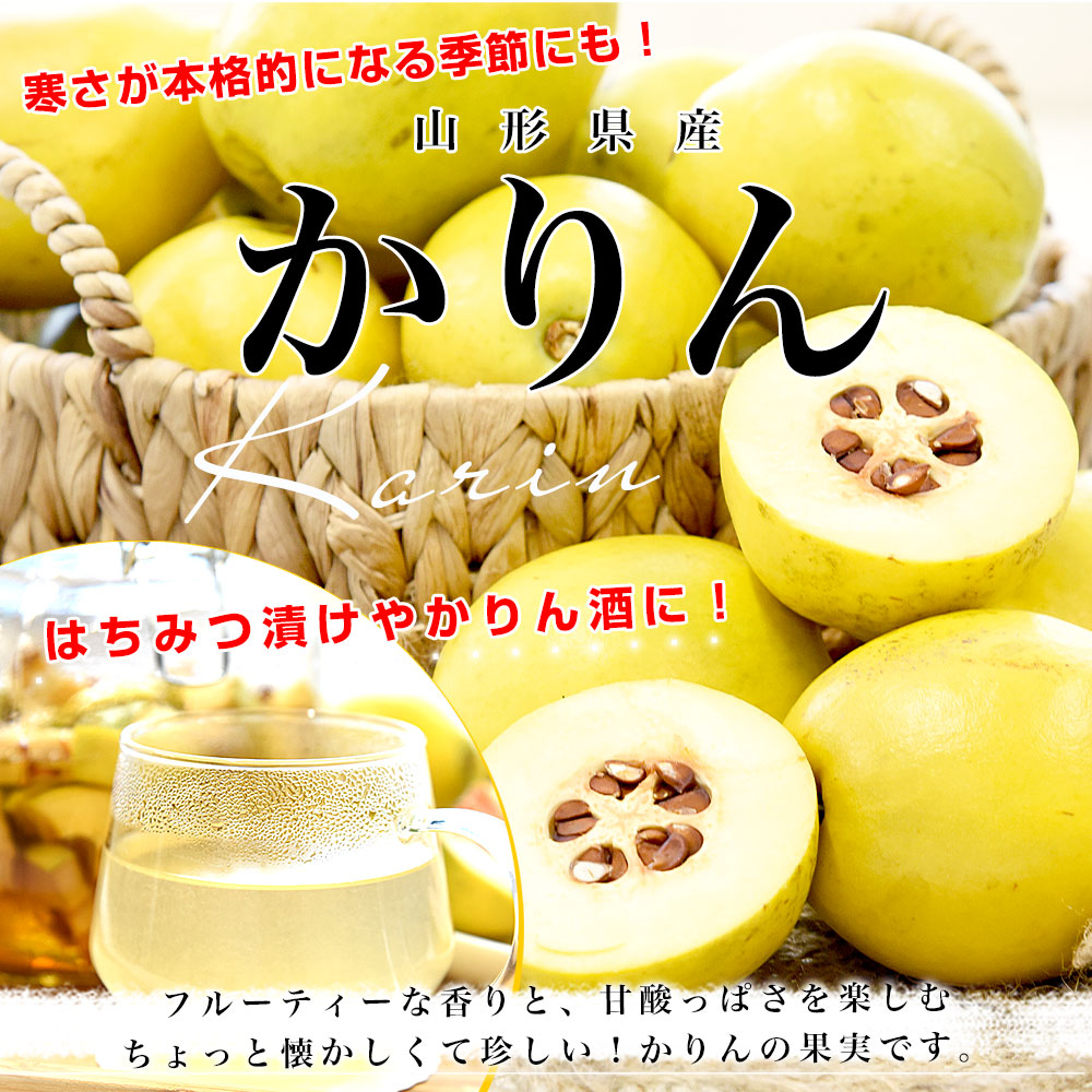 ‼️最後の値段‼️激安します‼️4/16①‼️唐物買取‼️名前有り‼️白泥製の透かしの花瓶‼️ 楽天市場】【現品・一点物 No.0642】 富貴蘭 花かんざし 紅飛蝶