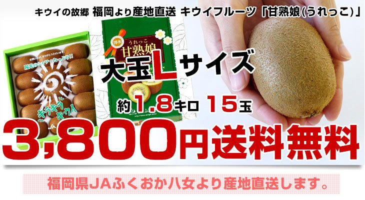 市場 ふるさと納税 2kg キウイフルーツ 54g 傷み補償分 ※2023年2月上旬