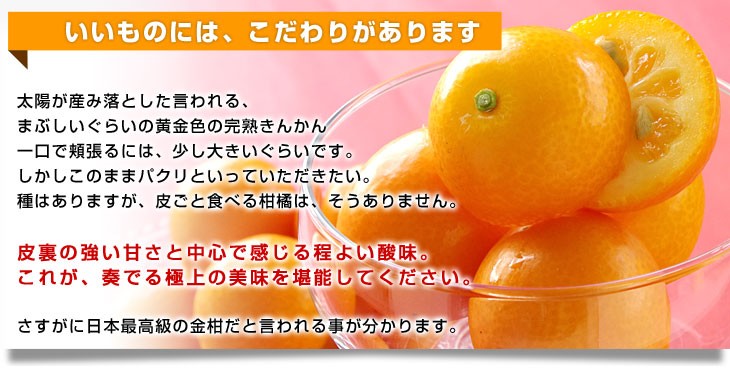 きんかん 宮崎県から産地直送 JAみやざき宮崎中央地区本部 たまたま
