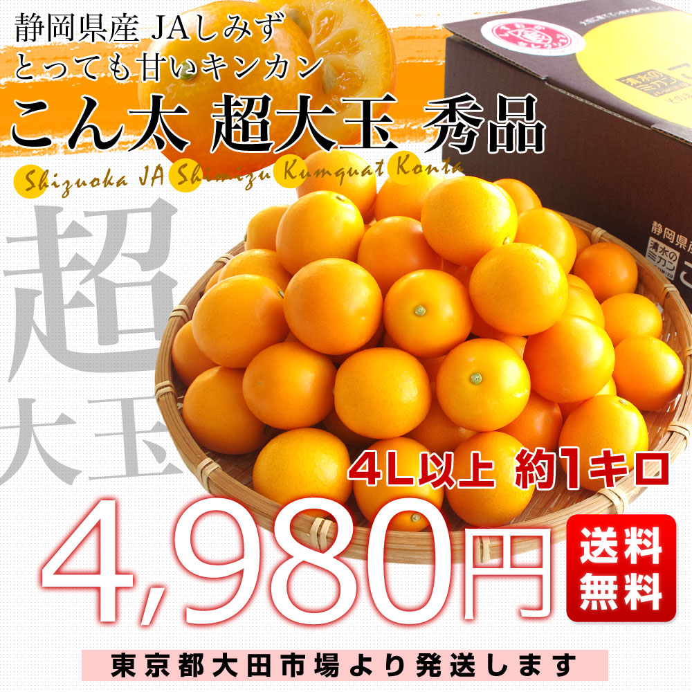 静岡県産　JAしみず　こん太きんかん　超大玉4L以上　秀品　約1キロ　金柑　キンカン 送料無料｜sanchokudayori｜03