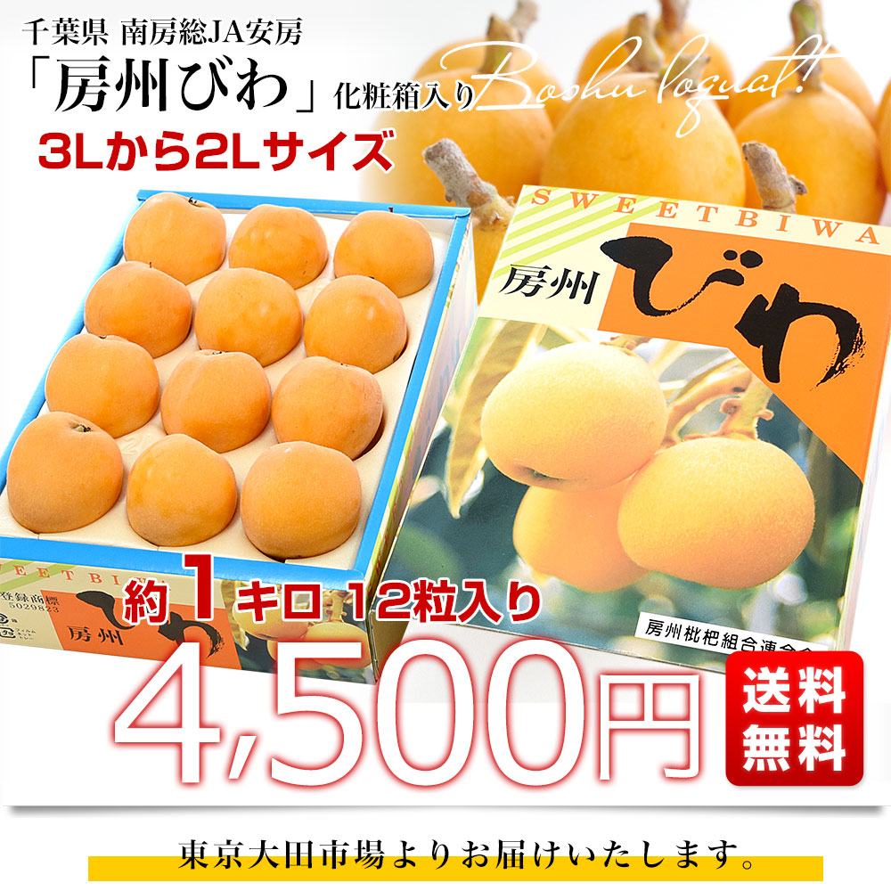 千葉県 南房総 JA安房 房州びわ 約1キロ 12粒入り 3Lから2Lサイズ 送料