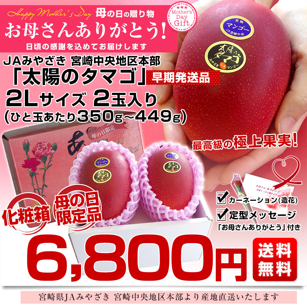 宮崎マンゴー●特大２玉＆L 4玉●チルド便・送料込み★現物品 宮崎マンゴー” 秀品 超特大玉 4Lサイズ 2玉 宮崎完熟マンゴー