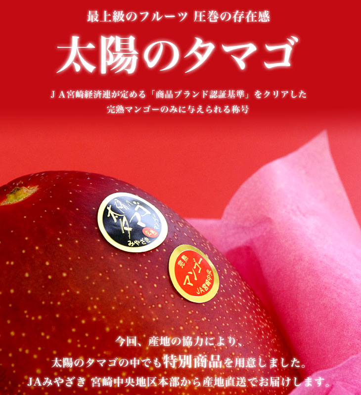 宮崎県より産地直送 JA宮崎中央 太陽のタマゴ 最高級AA品 5Lサイズ (650g以上×1玉) 送料無料 マンゴー たいようのたまご  :1271241621:産直だより - 通販 - Yahoo!ショッピング