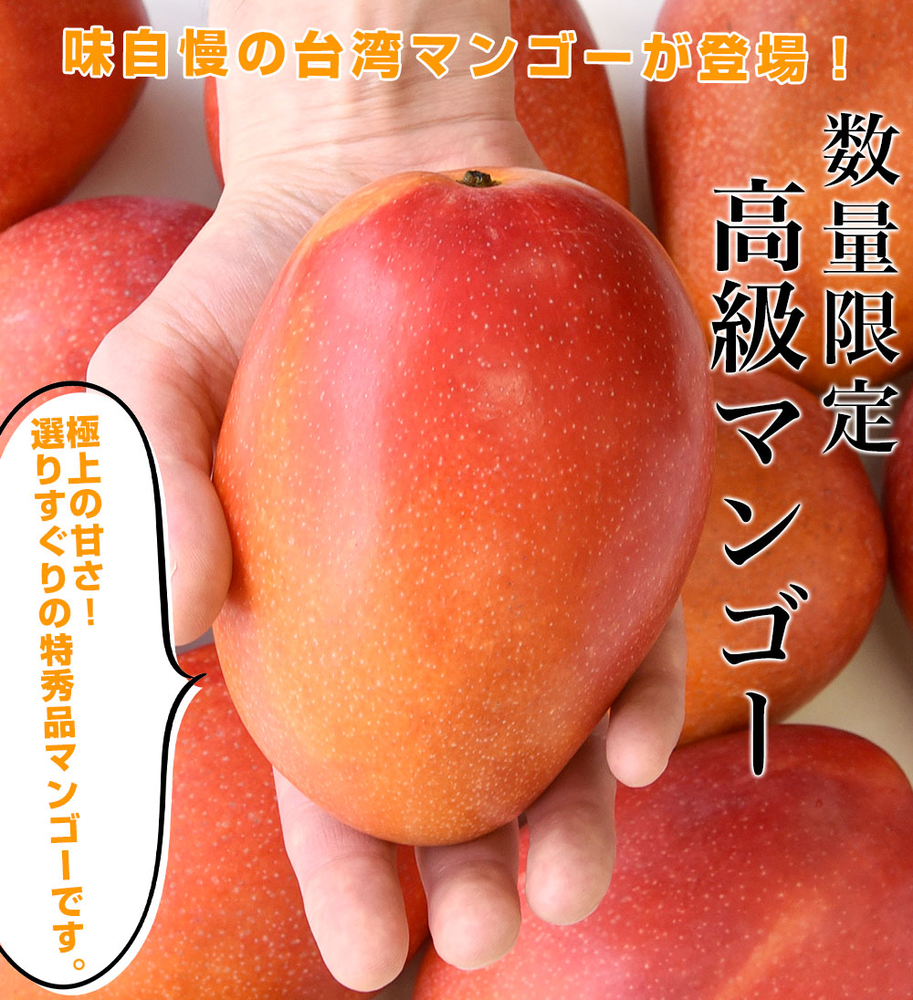 台湾産マンゴー 台湾産マンゴー希少品を限定空輸！「台湾プレミアム・マンゴー
