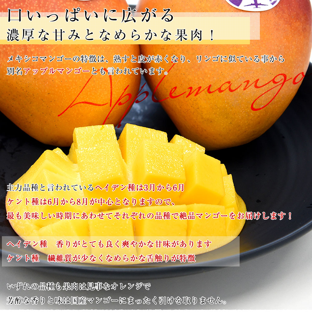 メキシコ産 アップルマンゴー(ケント種)約5.5キロ原体箱(12玉 メキシコ産 アップルマンゴー(ケント種)約5.5キロ原体箱(12玉