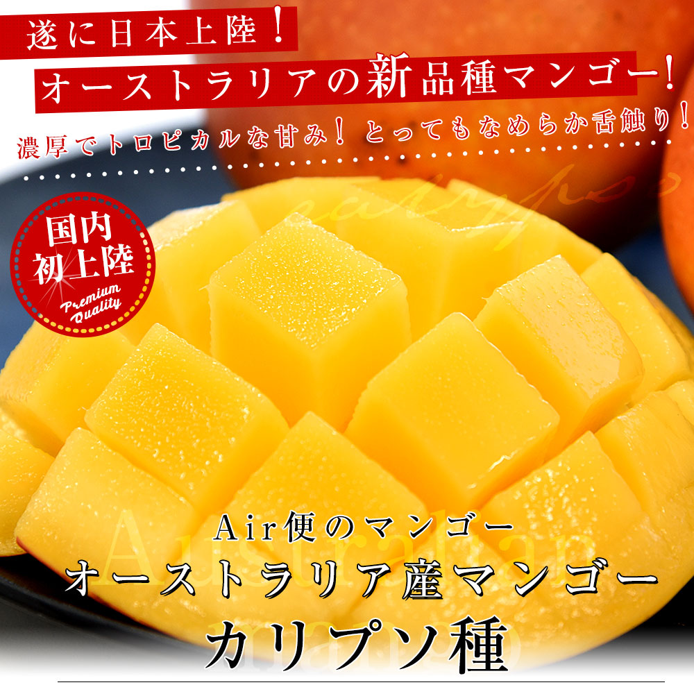オーストラリア産 マンゴー カリプソ種 約1.5キロ （3玉） 送料