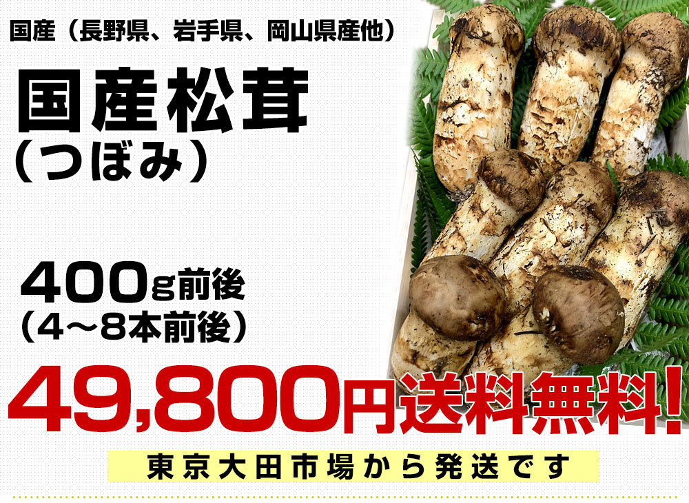 国産松茸（つぼみ）400g前後（4本から8本前後） 送料無料 クール便