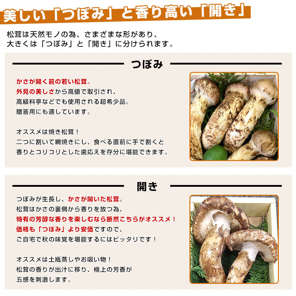 国産松茸（つぼみ）400g前後（4本から8本前後） 送料無料 クール