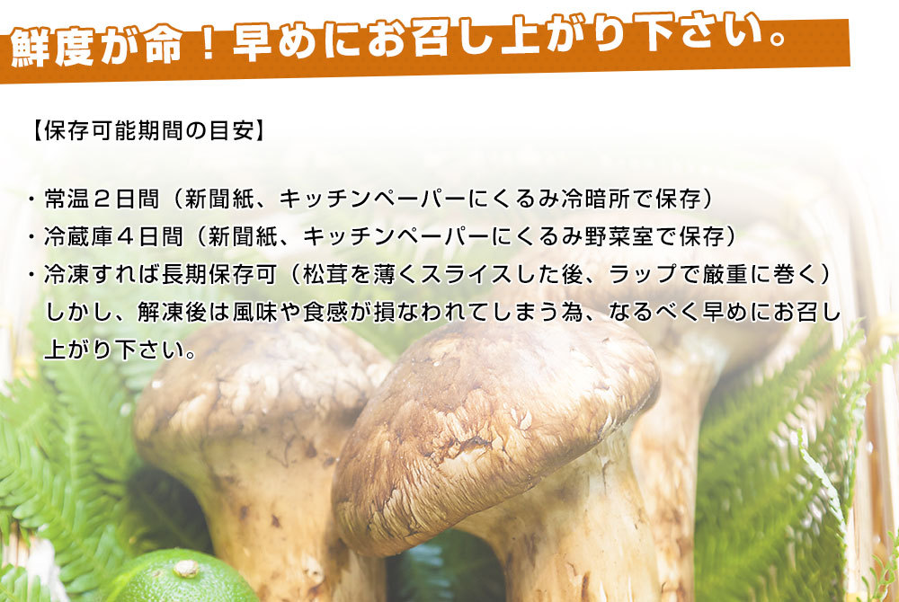 □大特価大盤振る舞い□　持っててください。信州つぼみ松茸、１６０グラムオーバー、 等身大 甲冑 鎧兜 胴 面頬 天然 木製 大玉 首掛け 数珠 検／前田