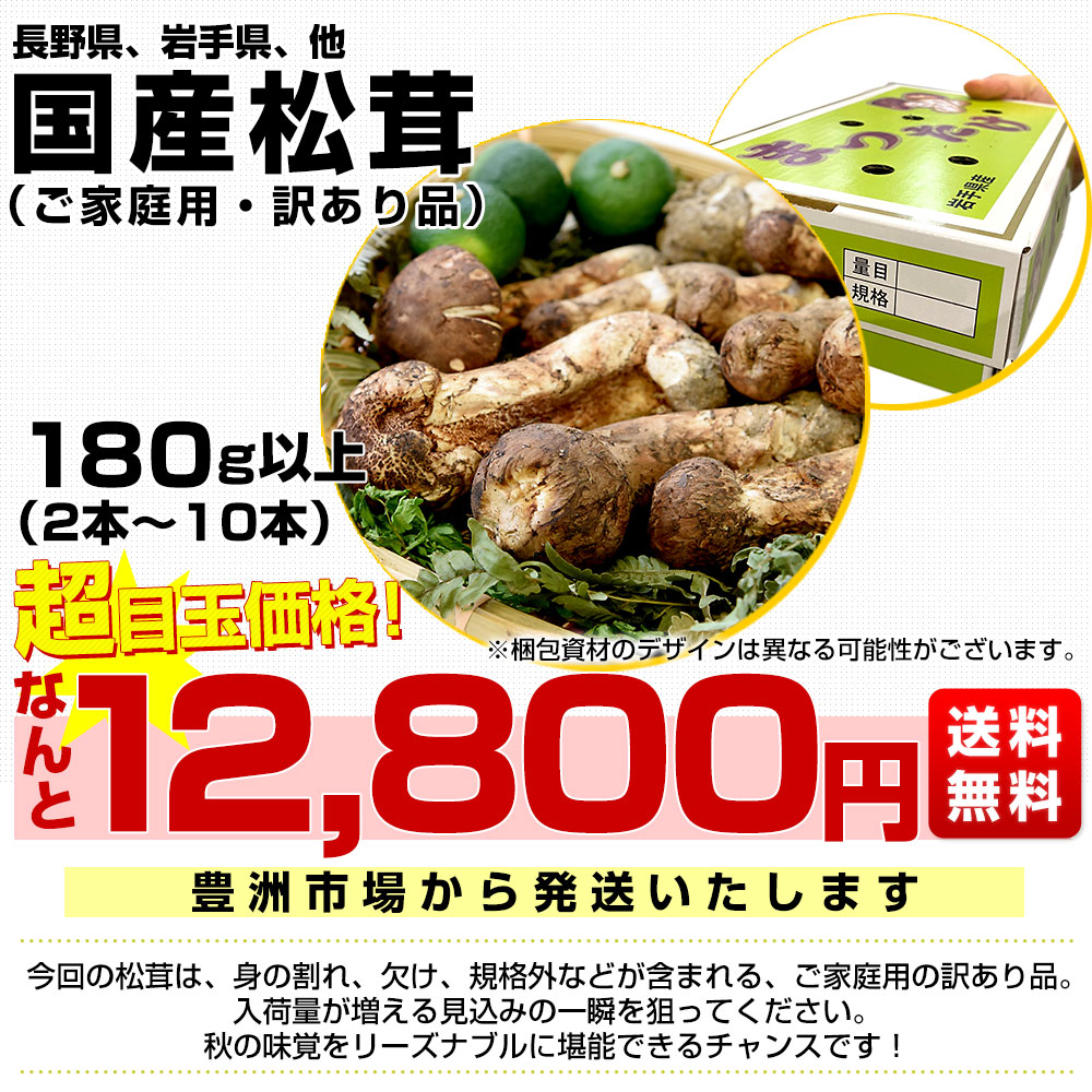 国産松茸（ご家庭用・訳あり品）身の割れ、欠け、規格外含む 200g以上（2本から10本） 送料無料 クール便 まつたけ マツタケ 市場発送