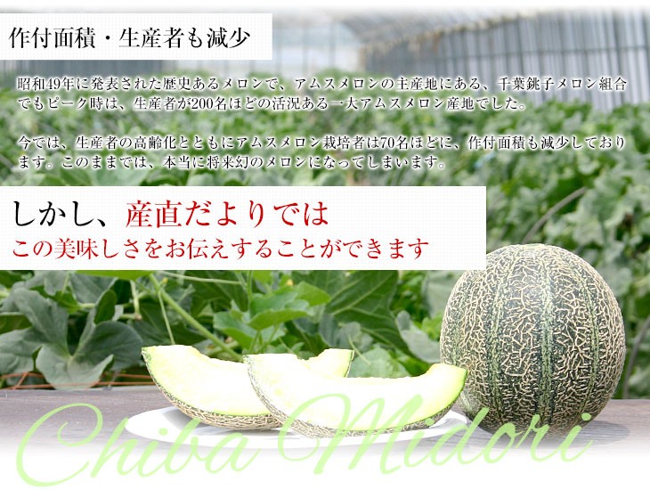 ‼️メロン‼️ 分けてお支払い 1️⃣ 千葉県産 JAちばみどり アムスメロン 金印16 大玉 合計約4キロ