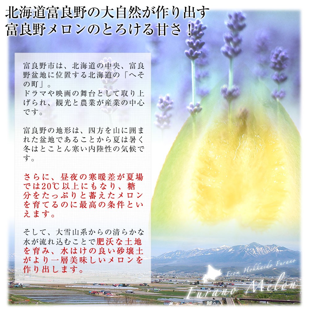 北海道メロン黄美香セット　大箱1 北海道から産地直送 富良野メロン 黄美香 8キロ 超大玉(約2キロ