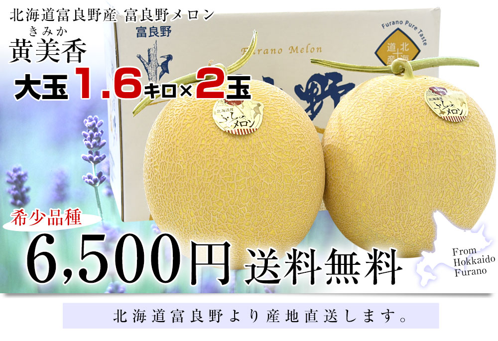 ☆かな☆ マイクロダイエット　メロン　2箱 Amazon.co.jp: マイクロダイエット 限定生産北海道メロン（7食