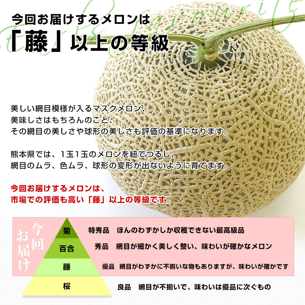 熊本県産 アールスメロン 約3.5キロ 化粧箱(２玉入り) 送料無料 めろん JA熊本市 JA鹿本 JA熊本うき 御歳暮 ギフト :  1238872831 : 産直だより - 通販 - Yahoo!ショッピング