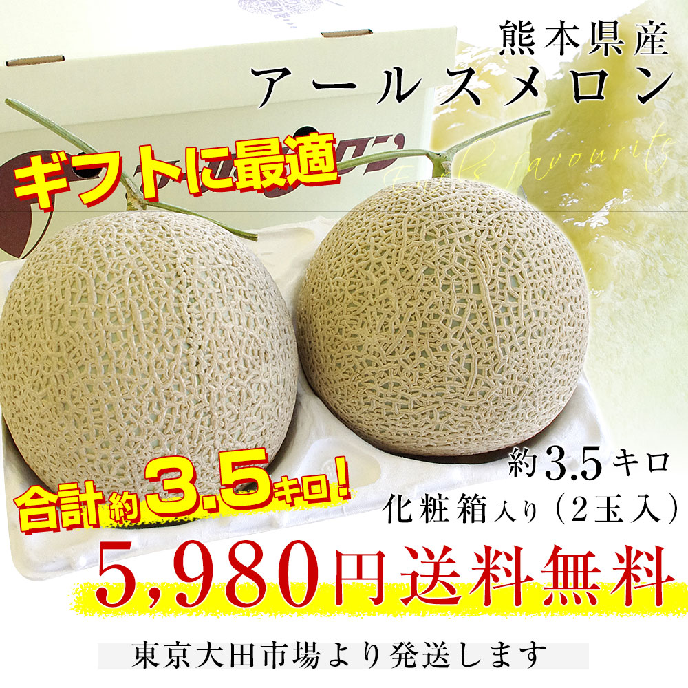 熊本県産 アールスメロン 6個 熊本県産 アールスメロン 6玉 10kg弱 ｜野菜、果物
