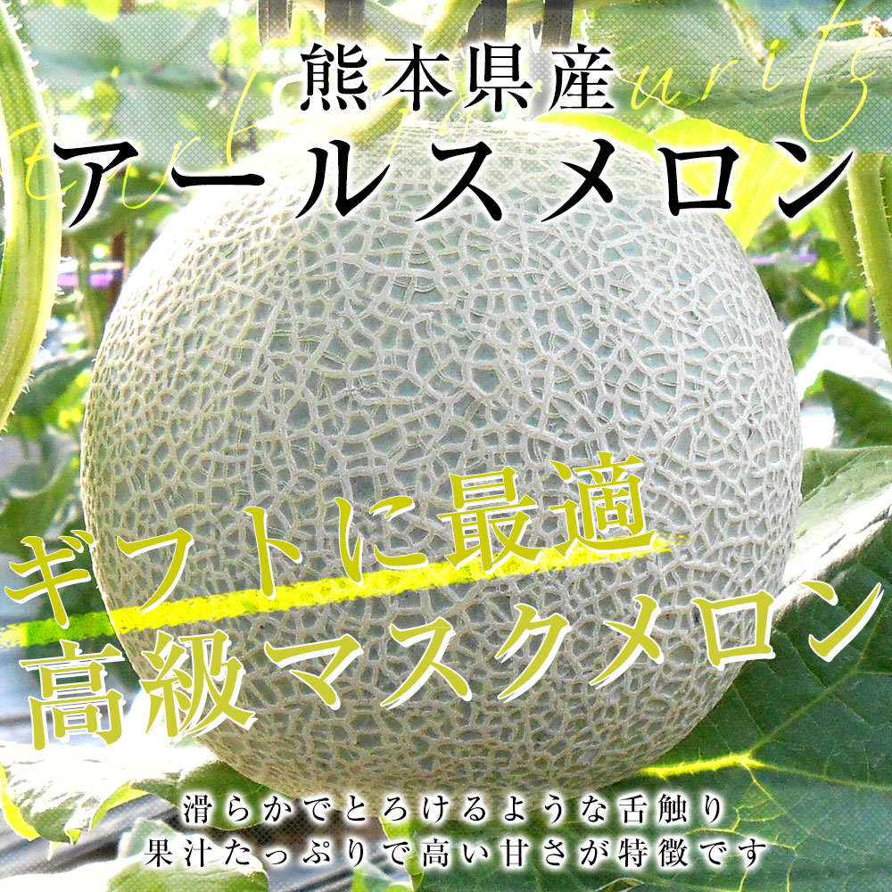 『特価』熊本県産アールスメロン アールスメロン（春夏）【熊本県産】 2玉入 約3.5kg 高級青肉