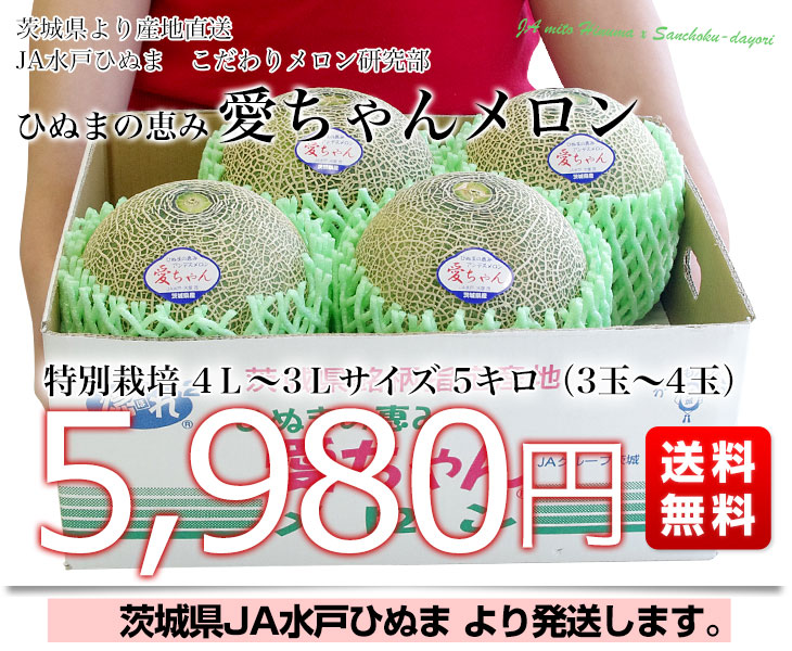 茨城県より産地直送 JA水戸ひぬま こだわりの特別栽培メロン ひ 茨城県より産地直送 JA水戸ひぬま こだわりの特別栽培メロン ひ
