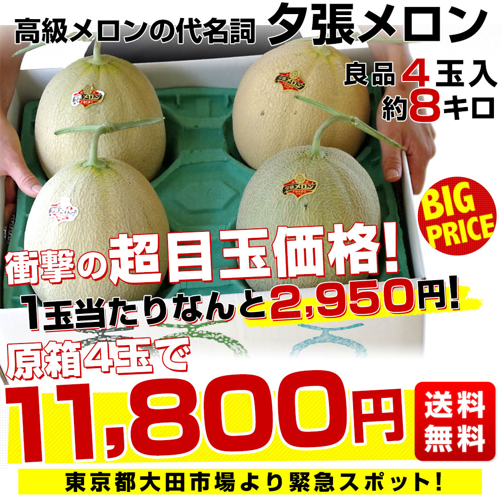 北海道産 JA夕張市 夕張メロン 良品 約8キロ （4玉入） 送料無料 めろん ゆうばり ※クール便｜sanchokudayori｜03