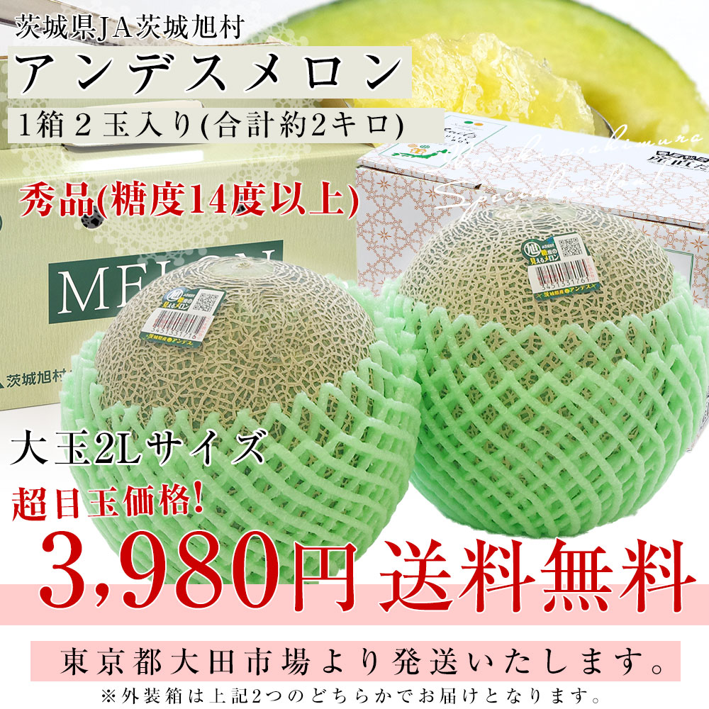 茨城県産 JA茨城旭村 アンデスメロン 秀品 2玉入り (合計約2キロ) 2Lサイズ 送料無料 青肉 めろん メロン｜sanchokudayori｜03